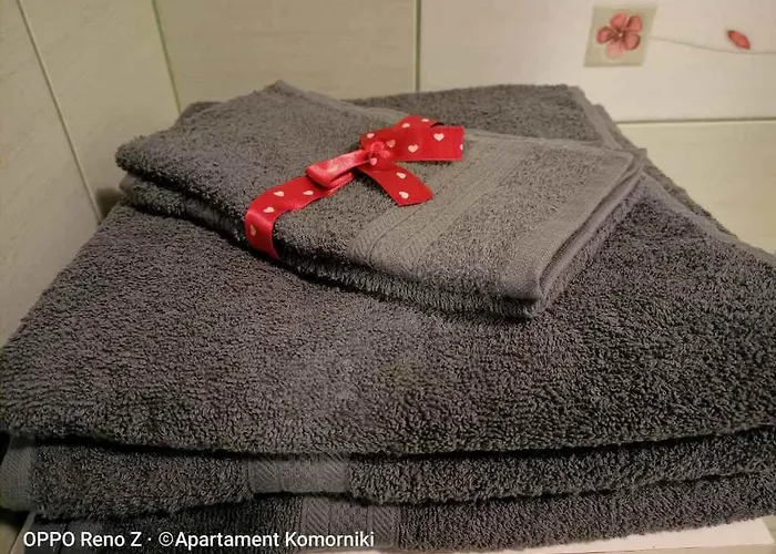 Apartament Komorniki