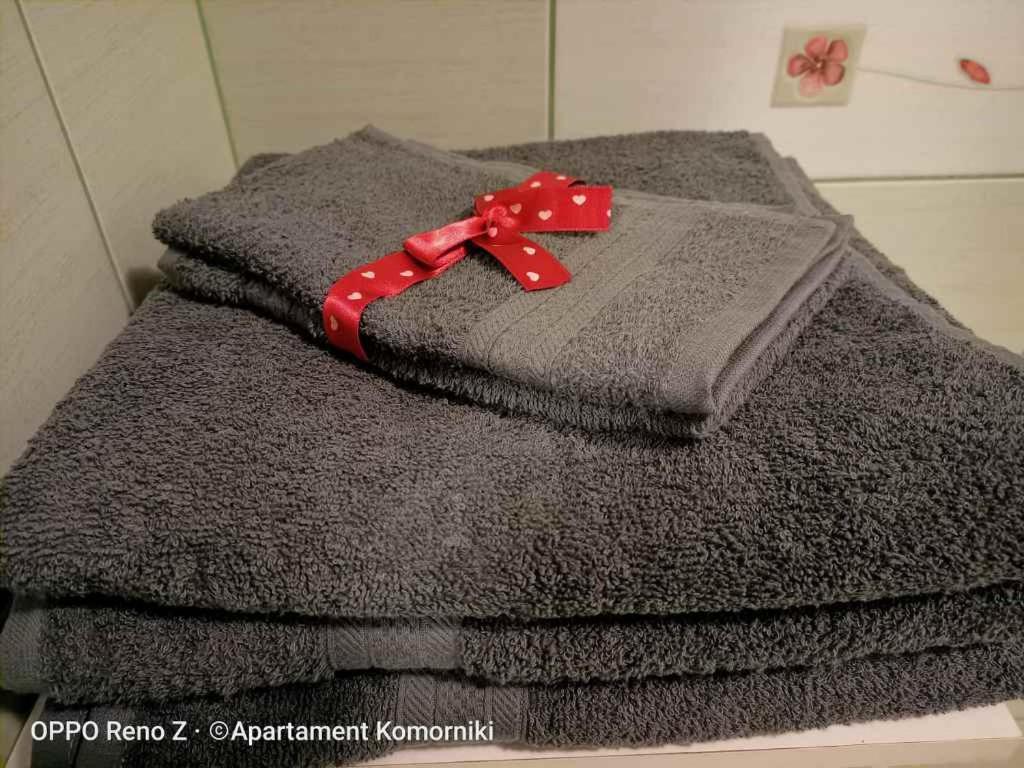 Apartment Komorniki *